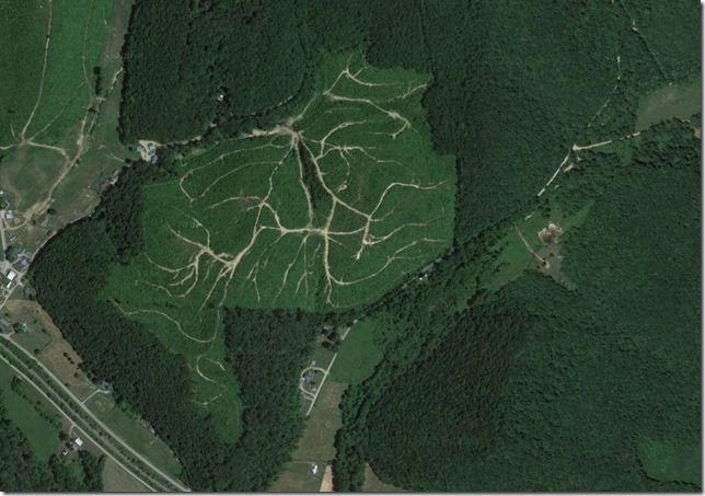 clearcutting satellite